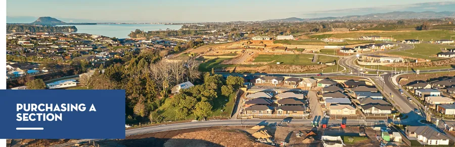 D&B Journey Process Guide Headers2