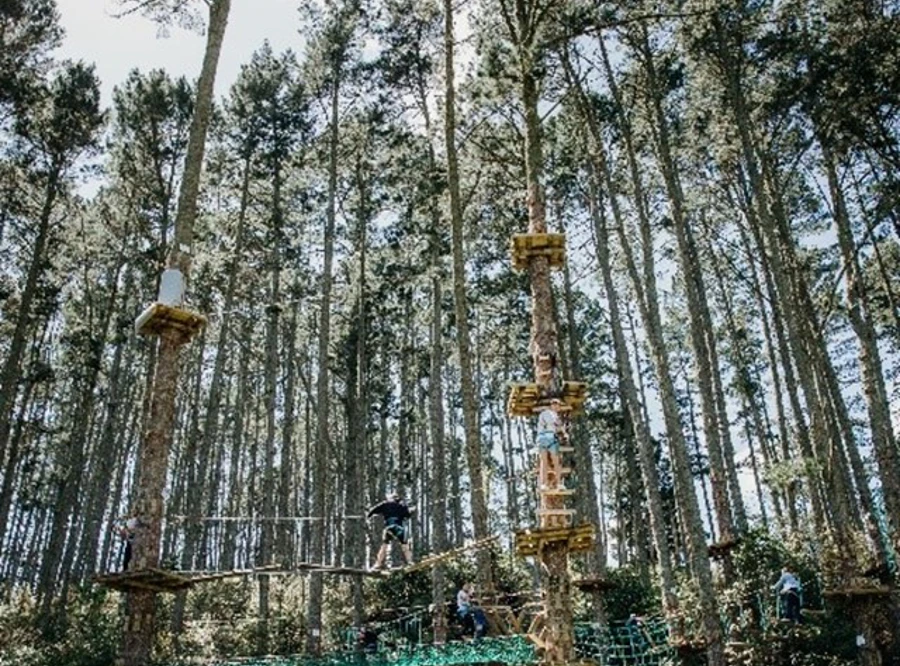 Bombay S Best Kept Secret Adrenalin Forest