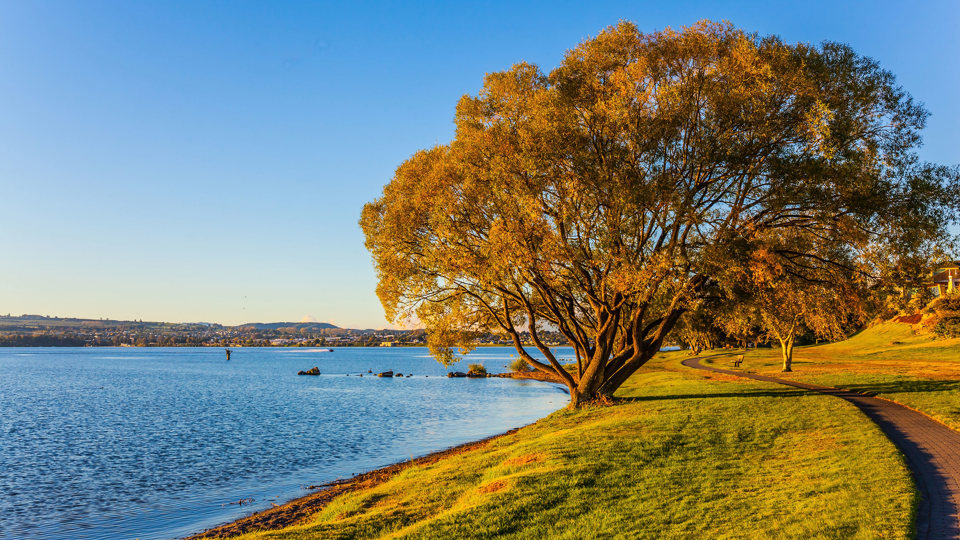 Rotorua/Taupo